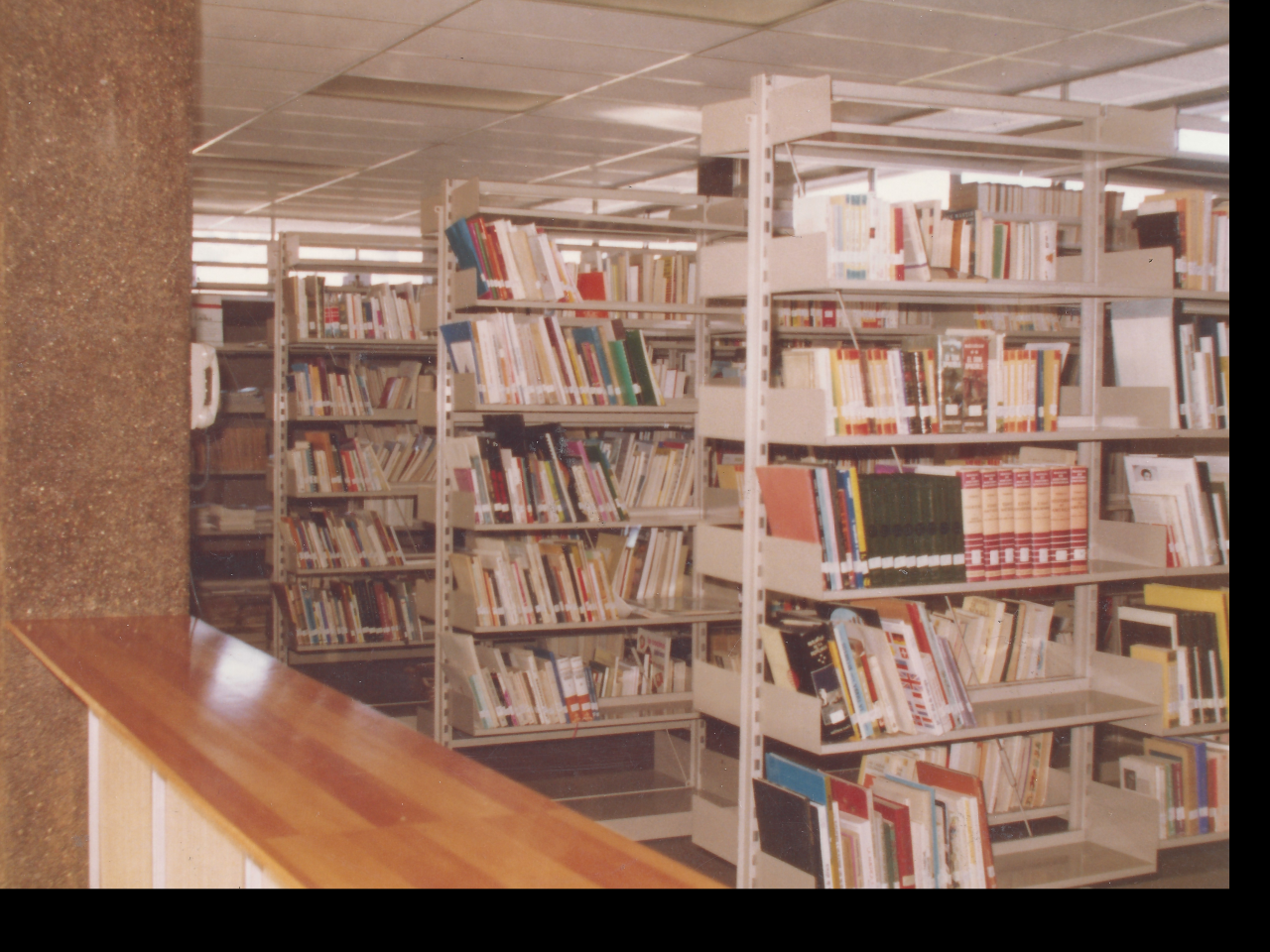 Estanterías de la biblioteca